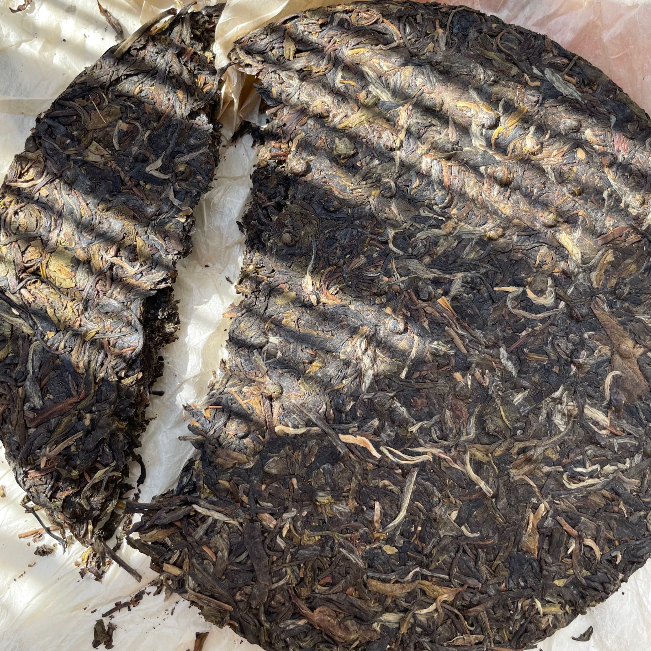 Sheng Puerh «Xiaguan Te Ji Qing Bing» 2003
