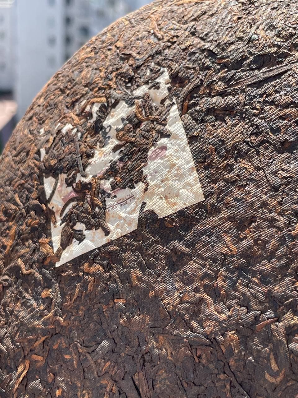 Shu Pu’er “Da Xue Shan – Big Snow Mountain” 2009