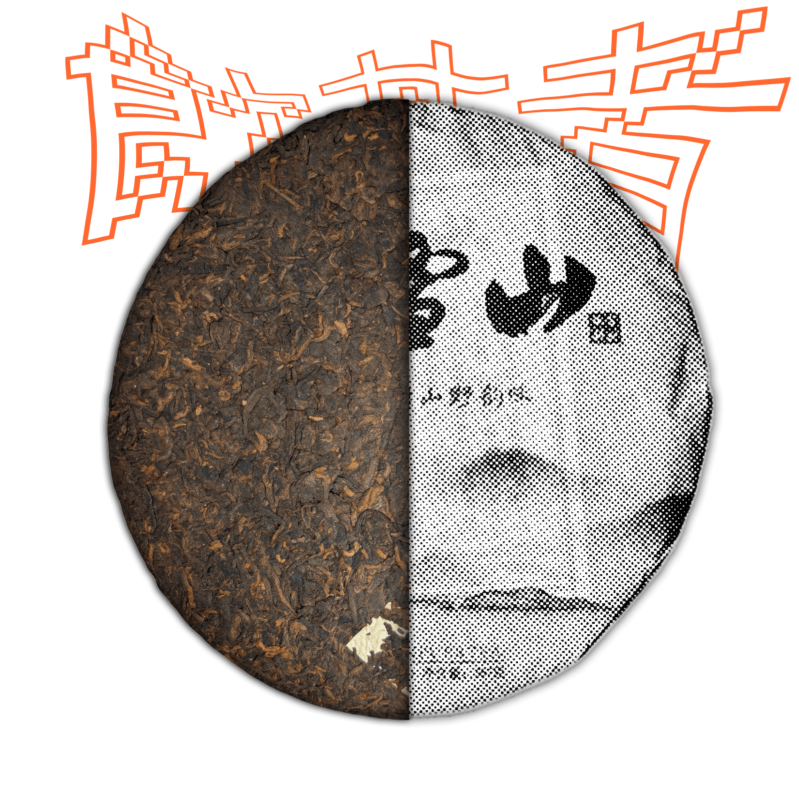 Shu Pu’er “Da Xue Shan – Big Snow Mountain” 2009