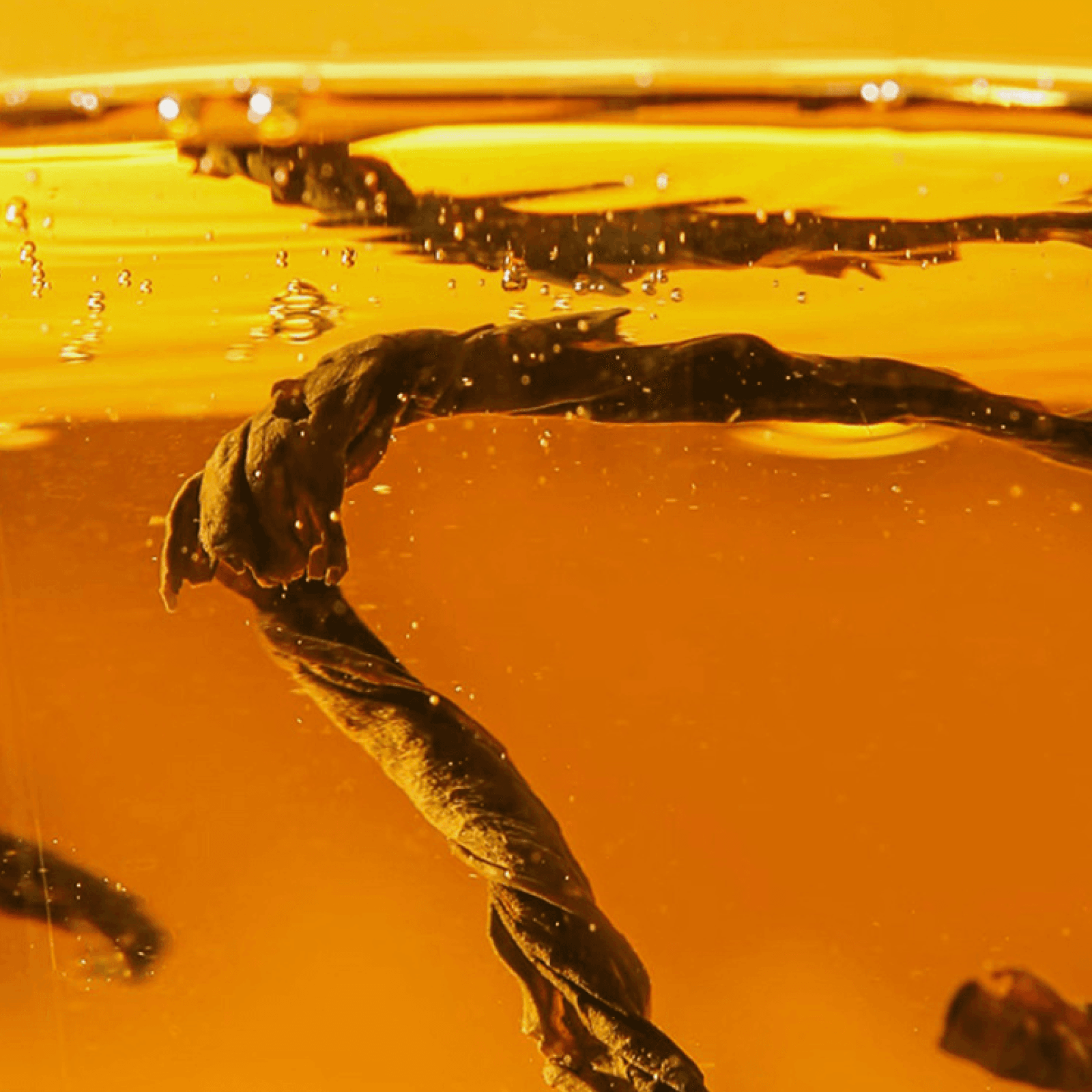 Dan Cong Mi Lan Xiang | Dark Oolong Tea