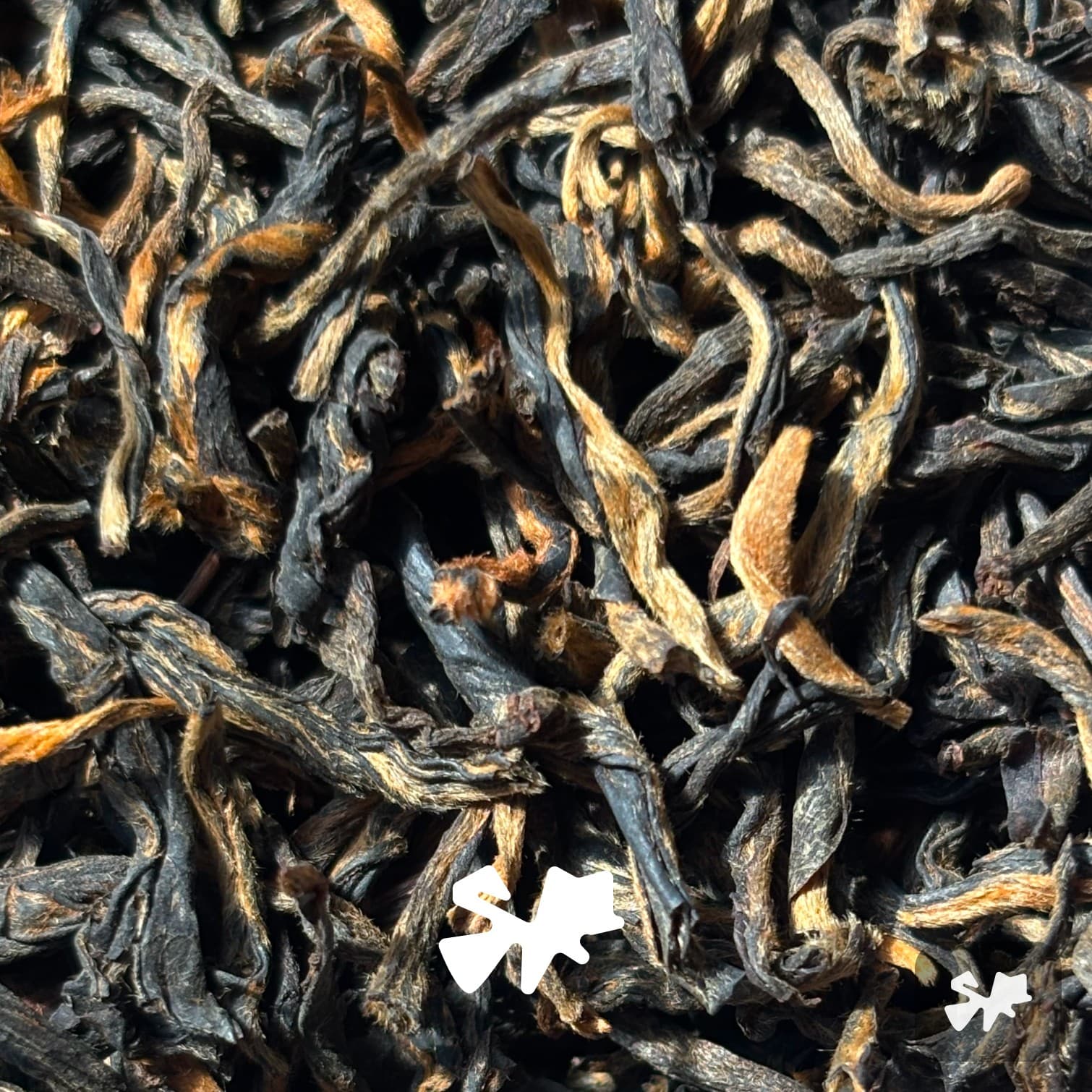 2026 Fengqing Golden Silk Dian Hong | Red Tea