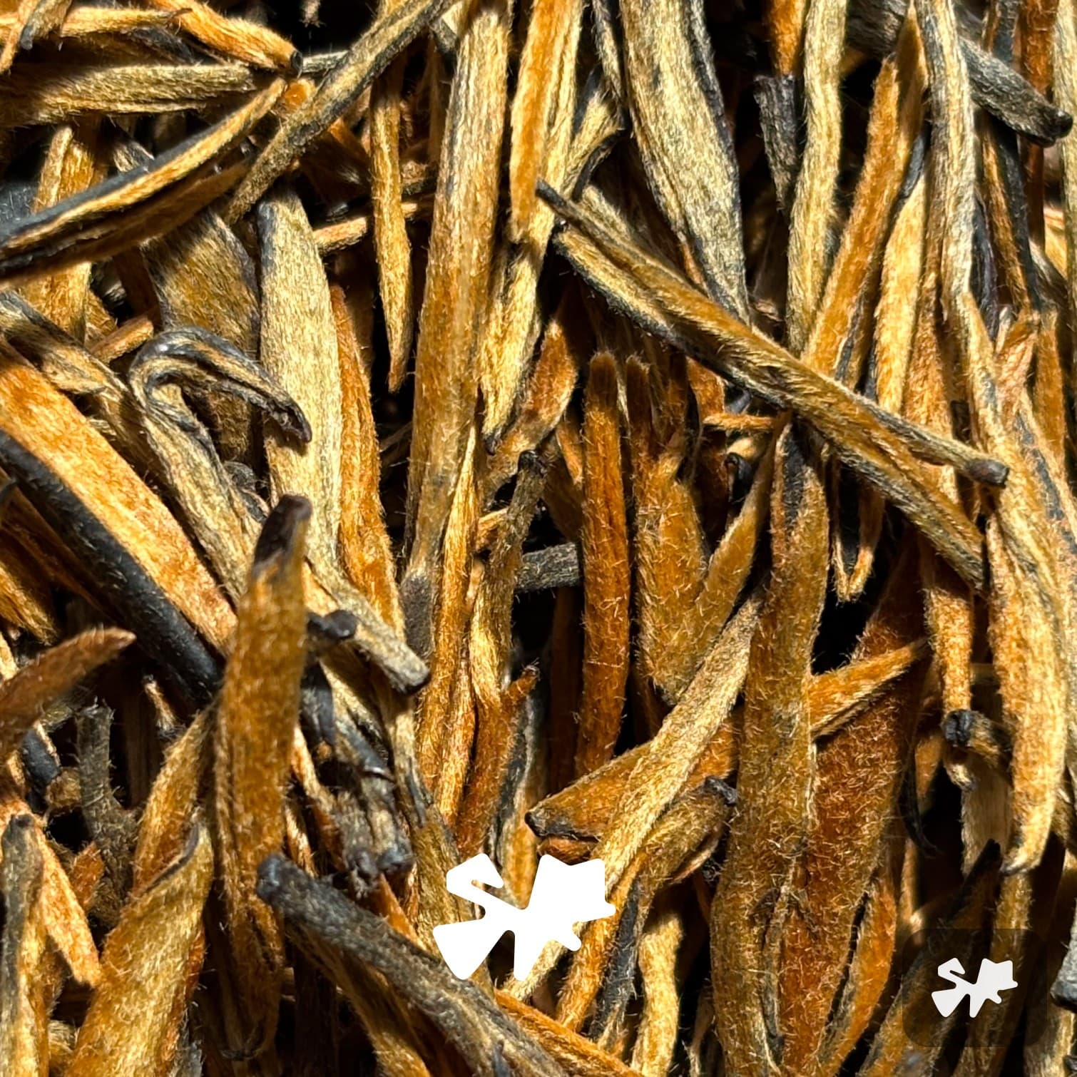 2026 Fengqing Old Tree Small Golden Needle Dian Hong