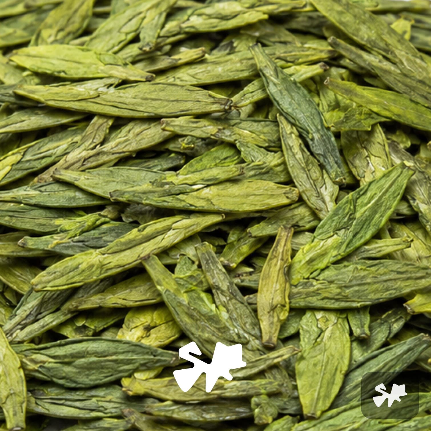 Longjing Tea | Green Tea