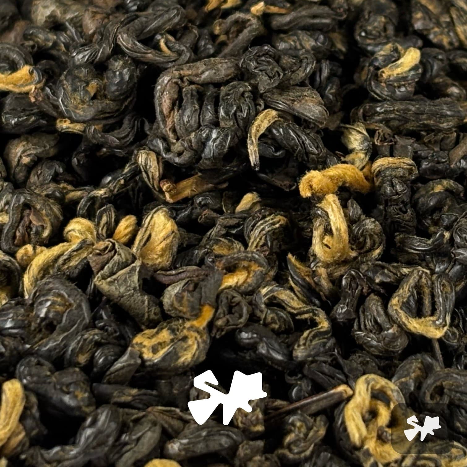 Dian Hong 2025 Honey Golden Snail Red Tea from Yunnan