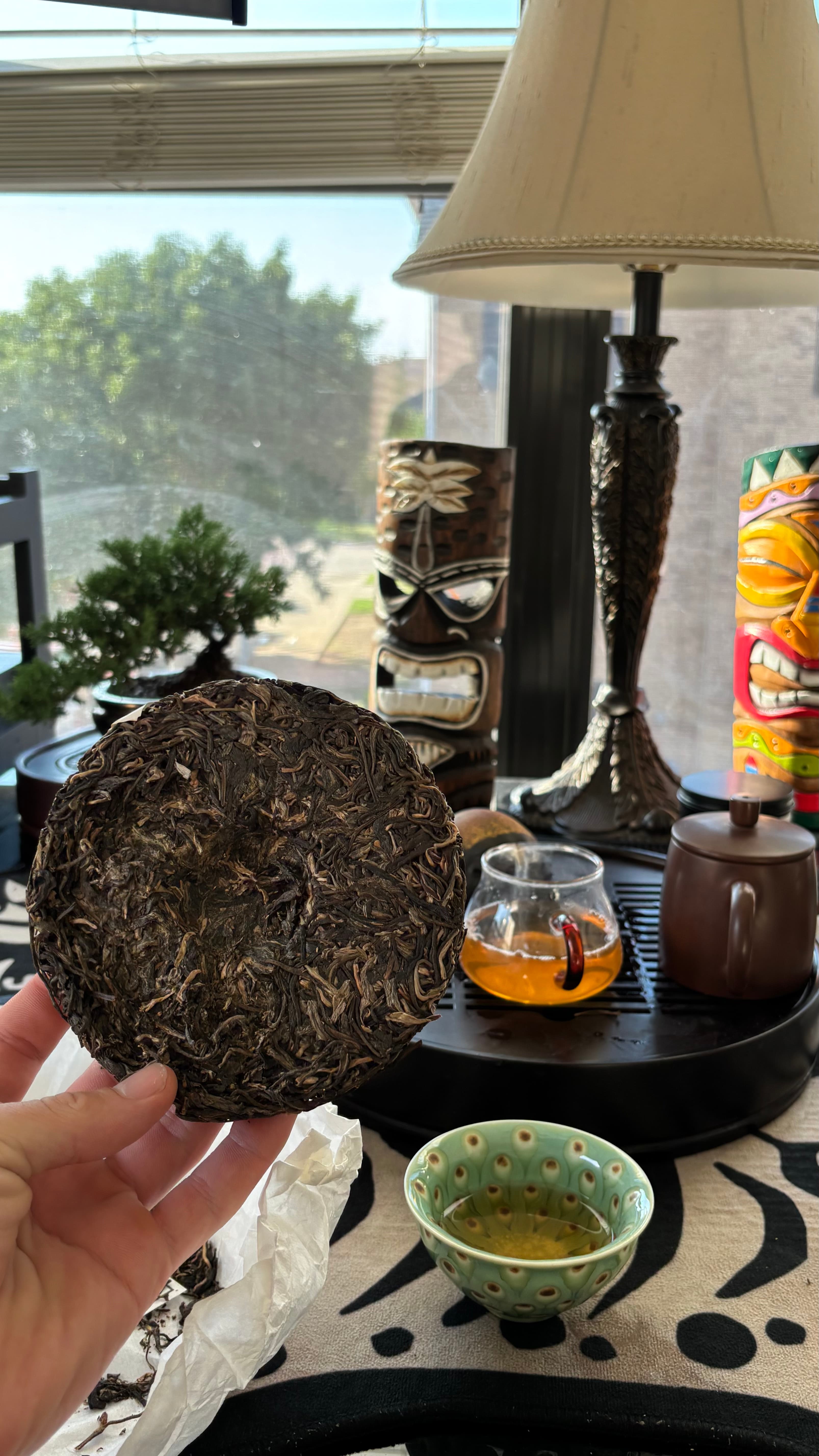 Sheng Puerh Mansong 2021 — Raw Puerh (Yunnan, Menghai Susu)