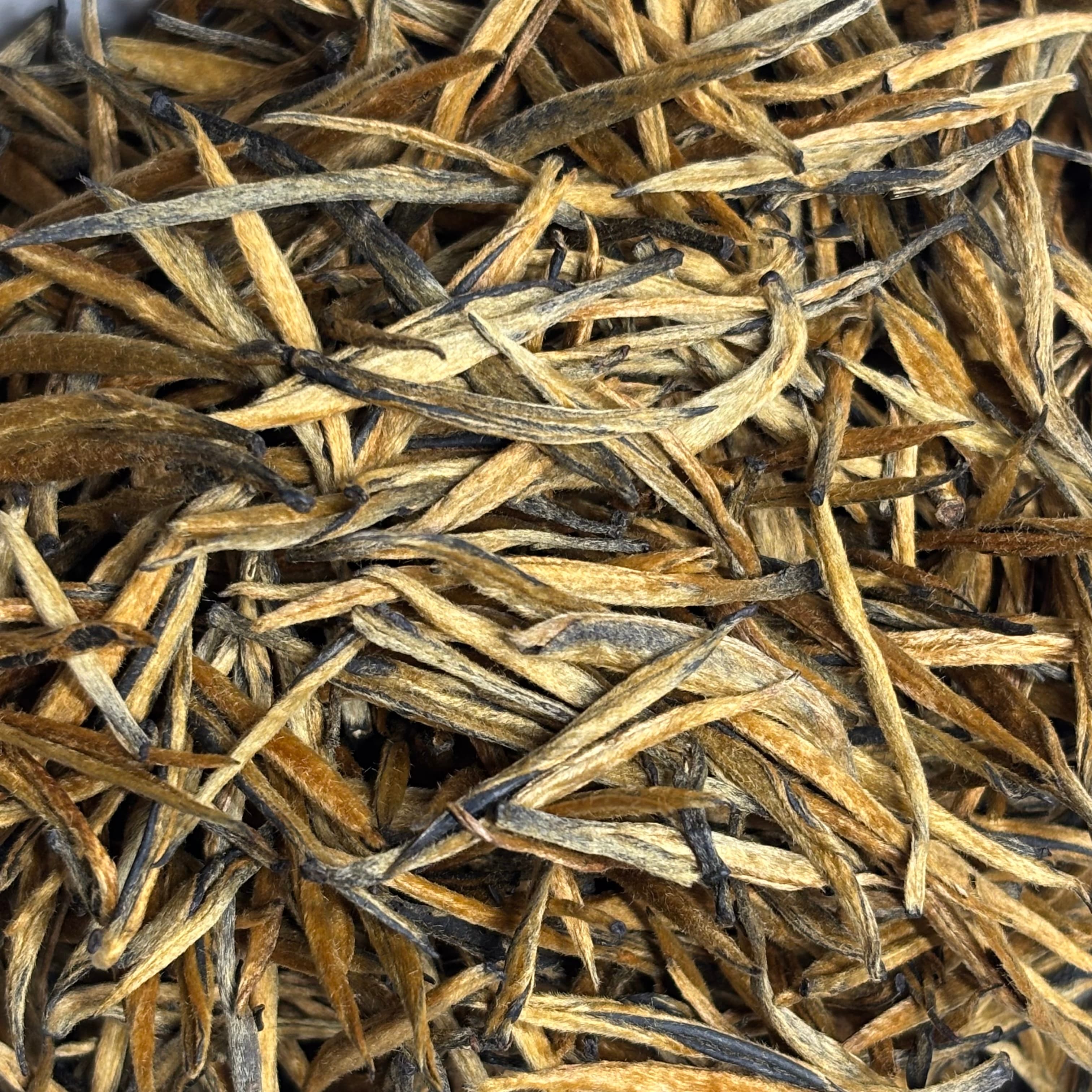 2026 Fengqing Old Tree Small Golden Needle Dian Hong